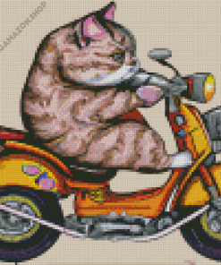 Cat On Motorcycle Diamond Painting