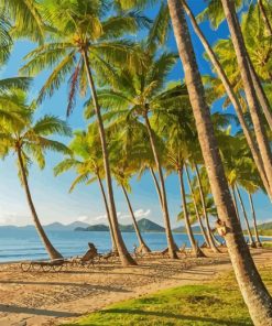 Coconut Tree Diamond Painting