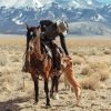 Cowboy And Horse Diamond Painting