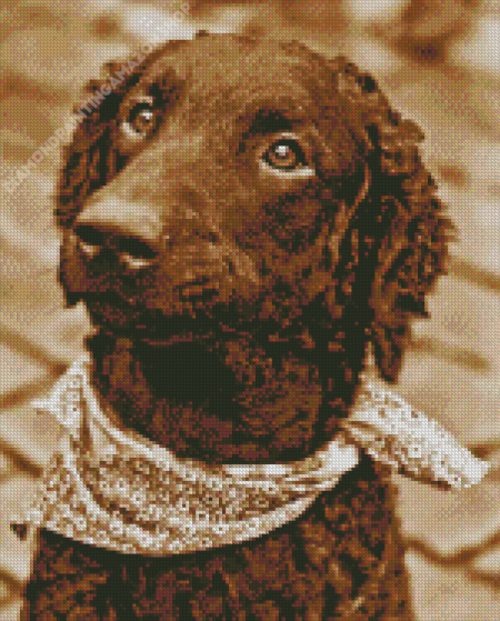 Curly Dog Diamond Painting