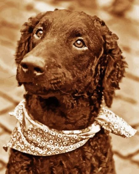 Curly Dog Diamond Painting