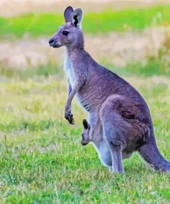 Cute Kangaroo Animal Diamond Painting