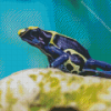 Dart Frogs Diamond Painting