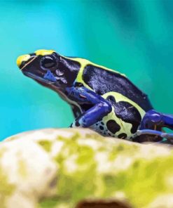 Dart Frogs Diamond Painting