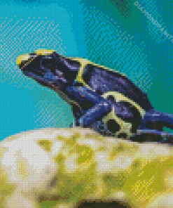 Dart Frogs Diamond Painting