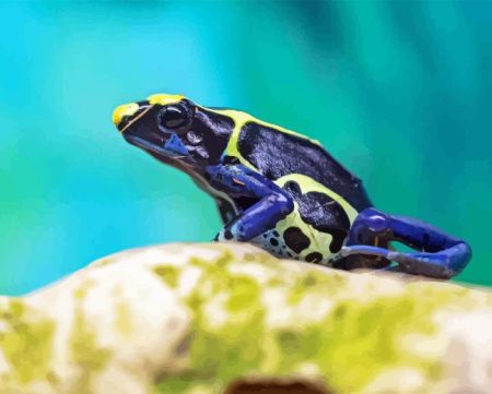Dart Frogs Diamond Painting