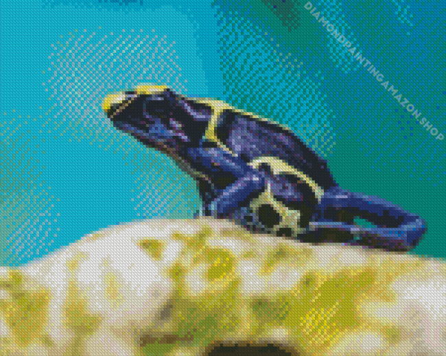 Dart Frogs Diamond Painting