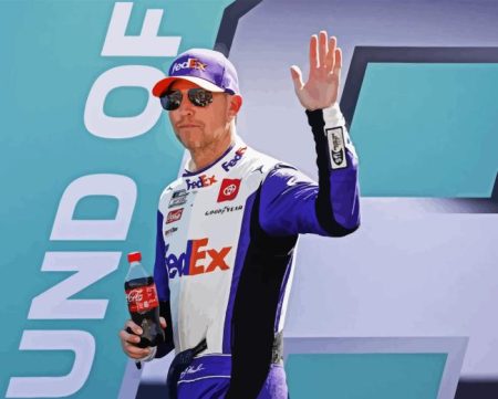 Denny Hamlin Diamond Painting
