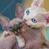 Devon Rex Diamond Painting