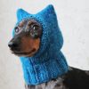 Dog With Blue Hat Diamond Painting