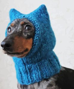 Dog With Blue Hat Diamond Painting