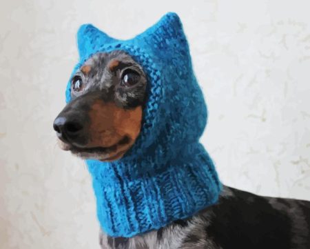 Dog With Blue Hat Diamond Painting