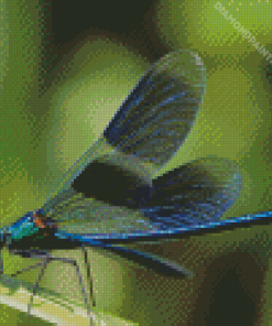 Dragonfly Wings Diamond Painting