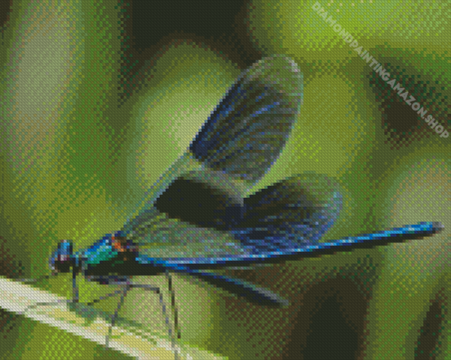 Dragonfly Wings Diamond Painting