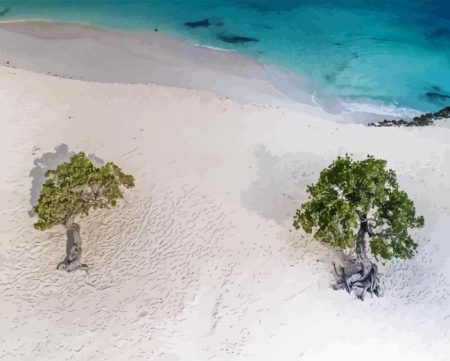 Eagle Beach Diamond Painting