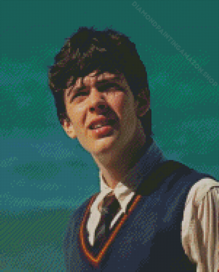 Edmund Pevensie Diamond Painting