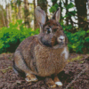 European Rabbit Diamond Painting