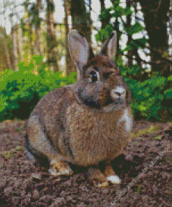 European Rabbit Diamond Painting