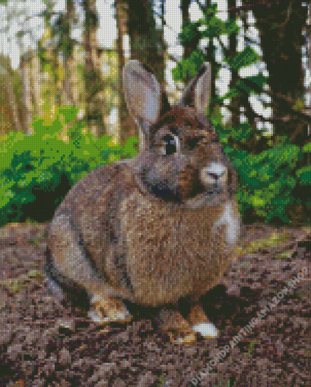 European Rabbit Diamond Painting