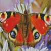 Eyes Butterfly Diamond Painting