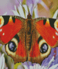 Eyes Butterfly Diamond Painting