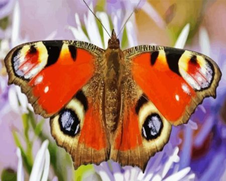 Eyes Butterfly Diamond Painting