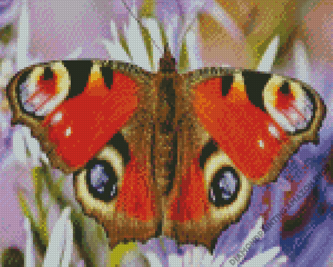 Eyes Butterfly Diamond Painting