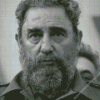 Fidel Castro Politician Diamond Painting