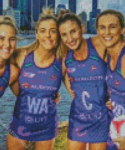 Firebirds Netball Diamond Painting