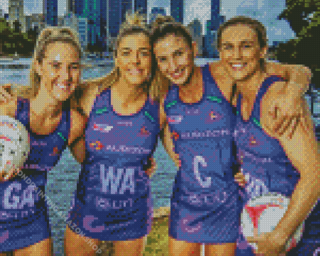 Firebirds Netball Diamond Painting