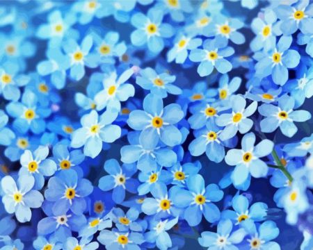 Forget Me Nots Diamond Painting