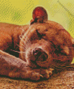 Fossa Animal Diamond Painting