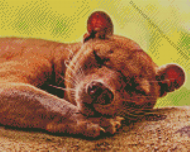 Fossa Animal Diamond Painting