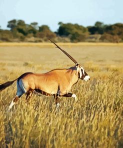 Gemsbok Diamond Painting