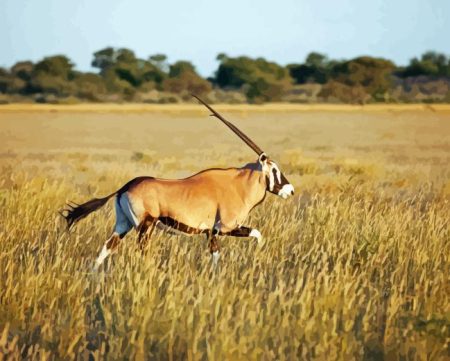 Gemsbok Diamond Painting