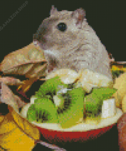 Gerbil Diamond Painting