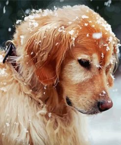 Golden Retriever In Snow Diamond Painting