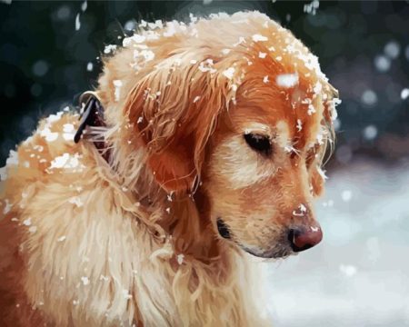 Golden Retriever In Snow Diamond Painting