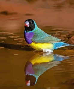 Gouldian Finch Diamond Painting