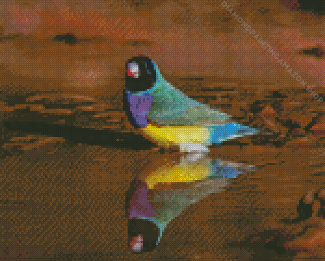 Gouldian Finch Diamond Painting