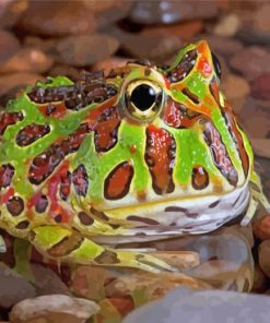 Horned Frog Diamond Painting