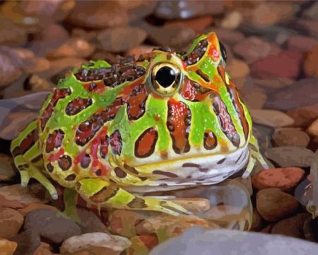 Horned Frog Diamond Painting
