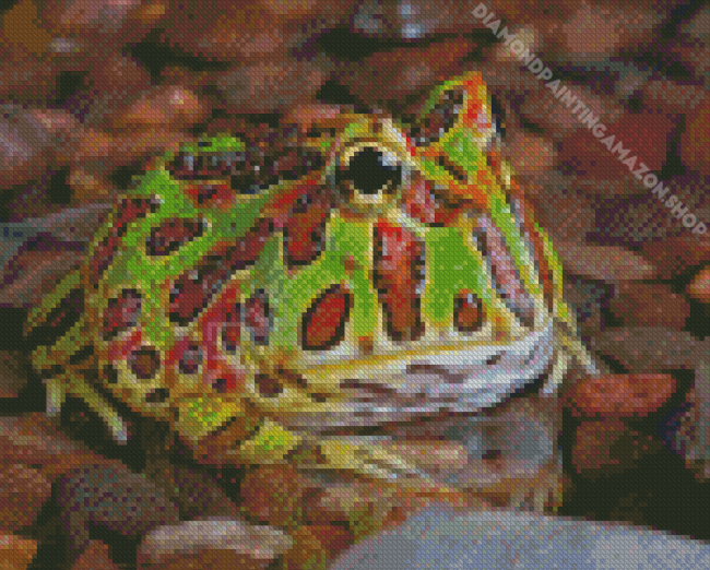 Horned Frog Diamond Painting