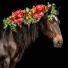 Horse And Flowers Diamond Painting