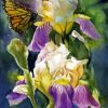 Irises And Butterflies Diamond Painting