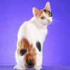 Japanese Bobtail Diamond Painting