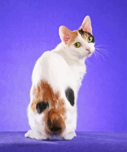 Japanese Bobtail Diamond Painting