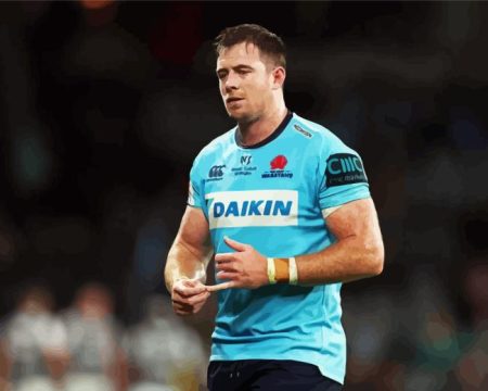 Jed Holloway Waratahs Diamond Painting