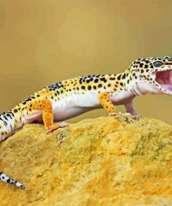 Leopard Gecko Diamond Painting