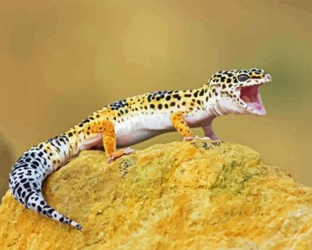 Leopard Gecko Diamond Painting
